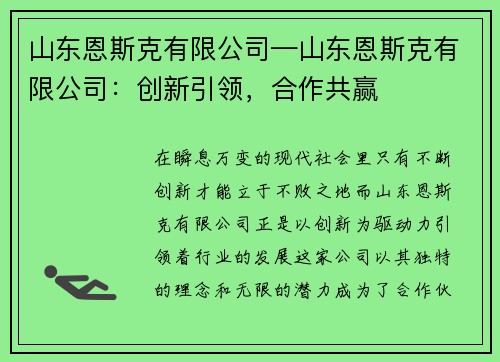 山东恩斯克有限公司—山东恩斯克有限公司：创新引领，合作共赢
